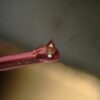 Remplacement Diamant – Image 3