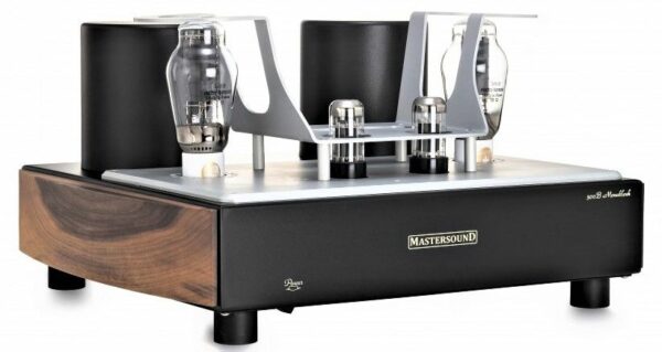 MastersounD Monoblock 300B