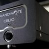 GRANDINOTE CELIO – Image 2