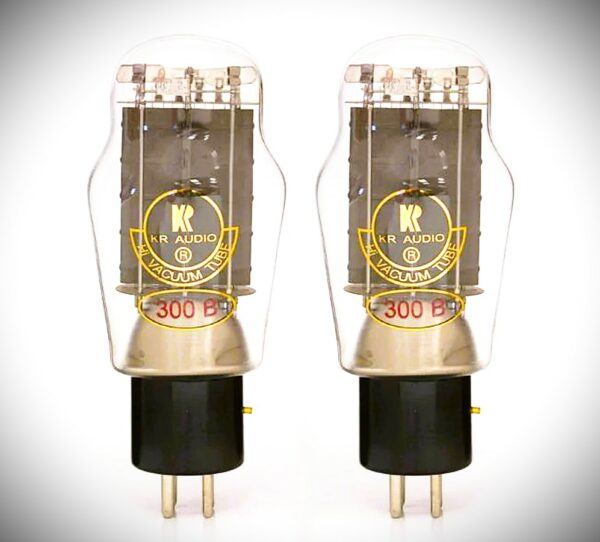 KR 300B – Image 2