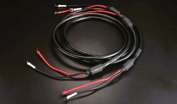 TiGLON MSS-DF100SP-HSE